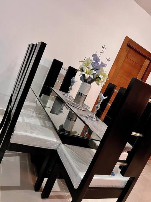 Outstanding Pent House W/Jacuzzi Apartment Santiago De Los Caballeros Exterior photo